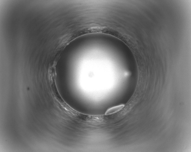 X0000066520768200603171218