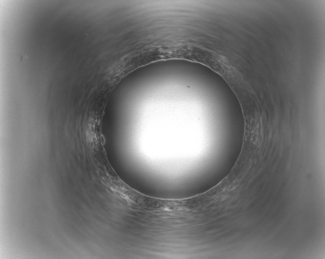 X0000066520770200603171217