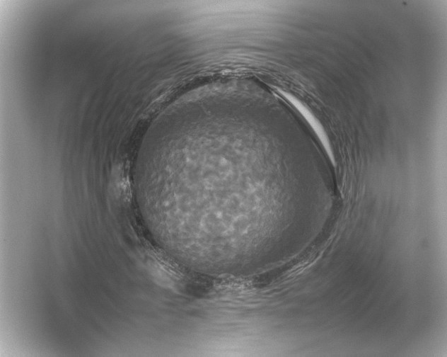 X0000066520771200603171217