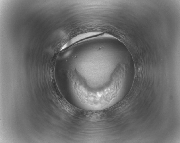 X0000066520772200603171217