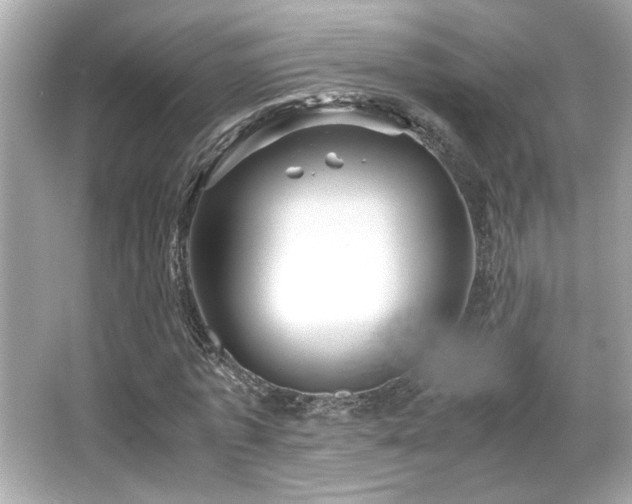 X0000066520773200603171217