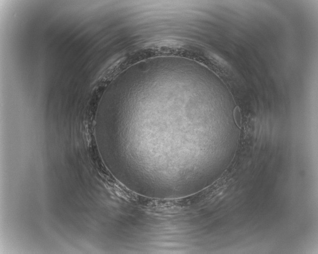 X0000066520774200603171217