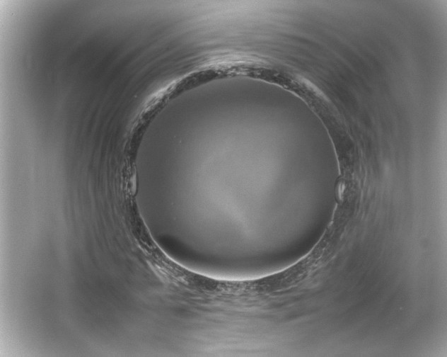 X0000066520775200603171217