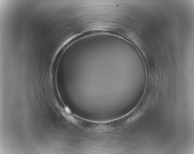 X0000066520779200603171217