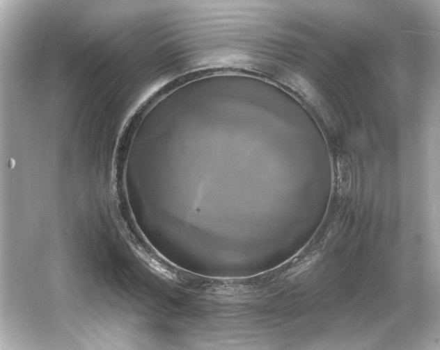 X0000066520780200603171217