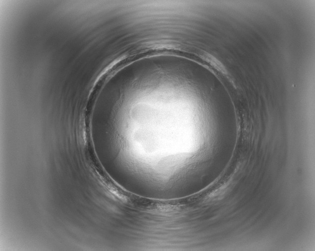 X0000066520782200603171217