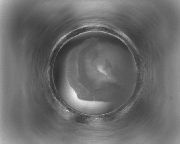 X0000066520783200603171217