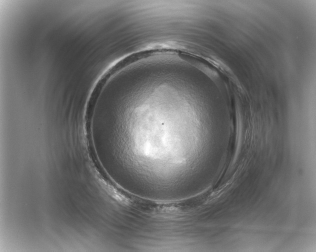 X0000066520784200603171217