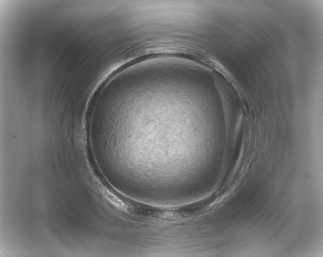 X0000066520787200603171217