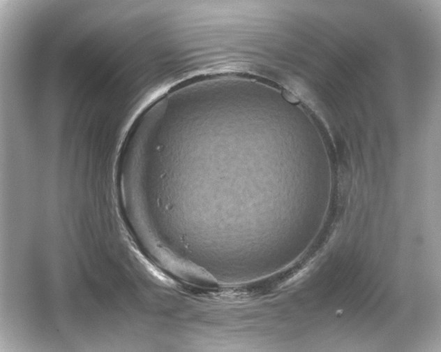 X0000066520789200603171217