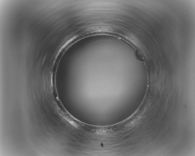 X0000066520790200603171217