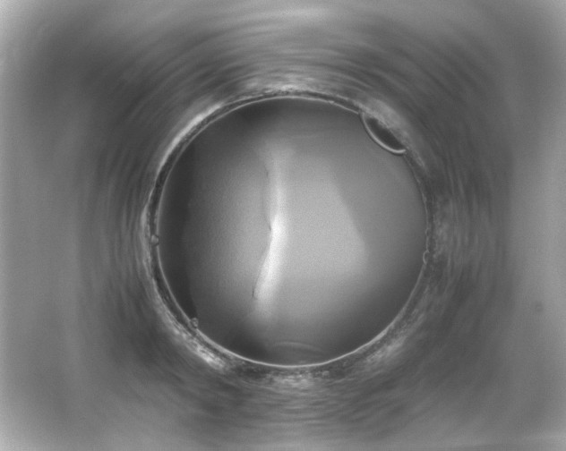 X0000066520798200603171217