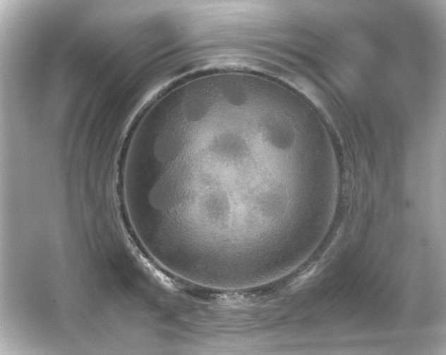 X0000066520799200603171217