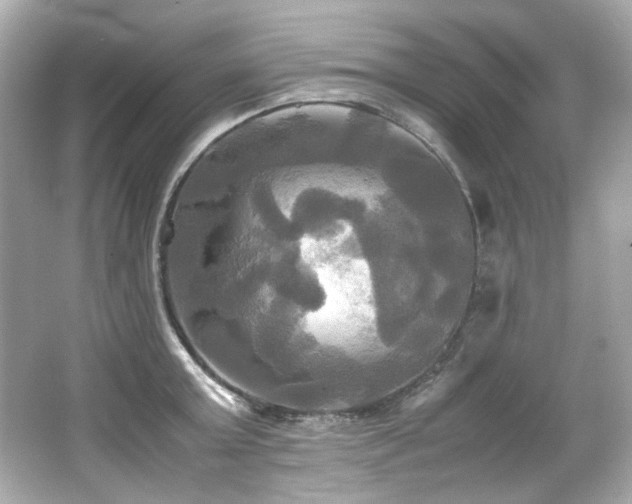 X0000066520803200603171217