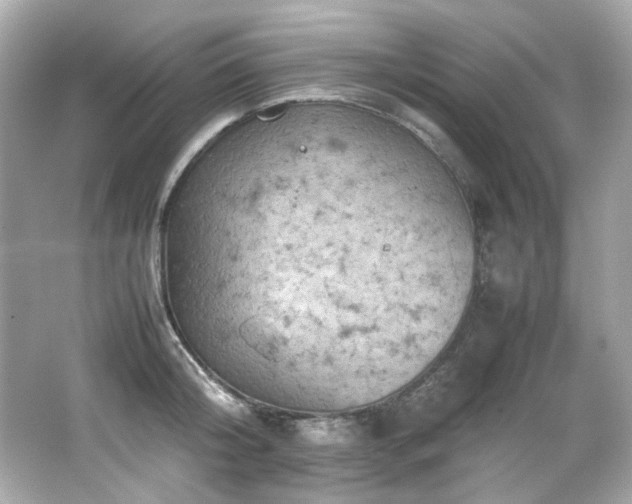 X0000066520804200603171217