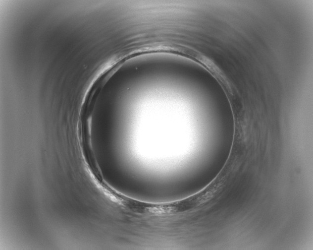 X0000066520805200603171217