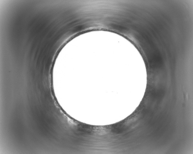 X0000066520807200603171217