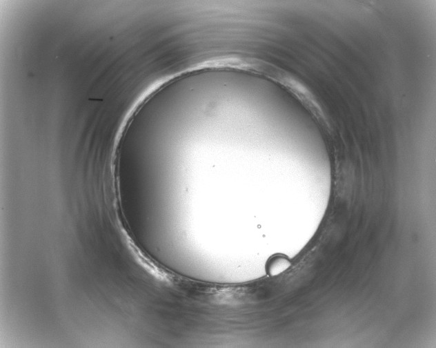 X0000066520808200603171217