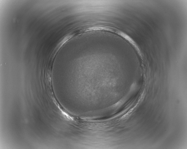 X0000066520809200603171216