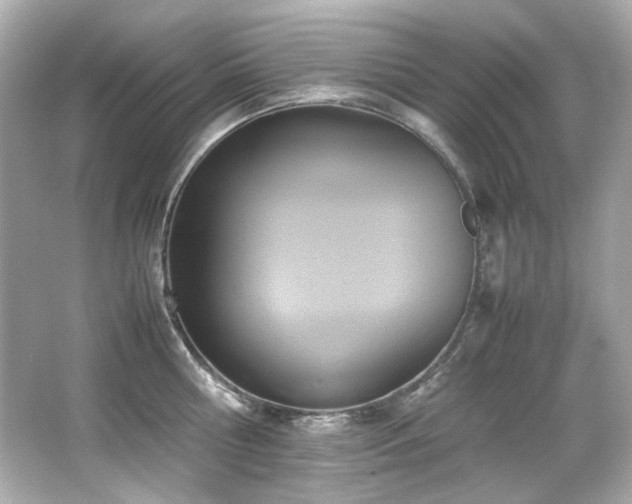 X0000066520810200603171216