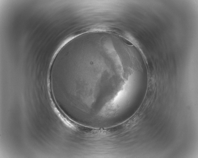 X0000066520811200603171216