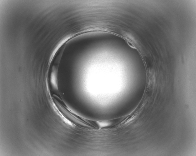 X0000066520812200603171216