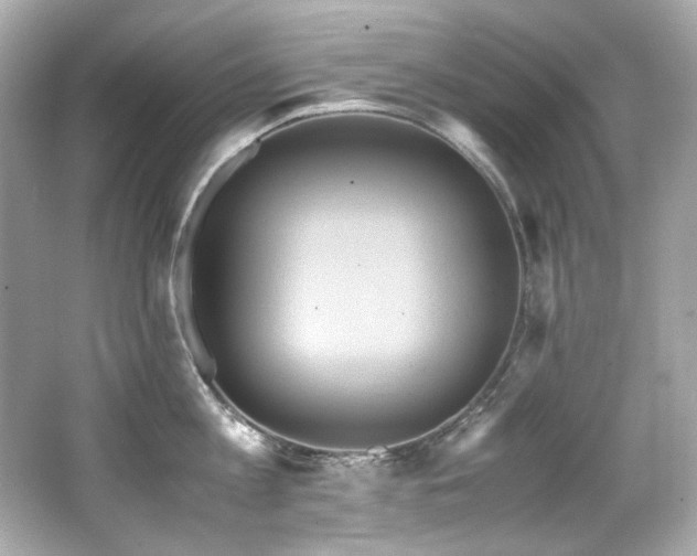 X0000066520813200603171216