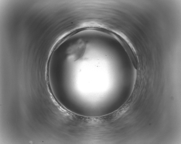 X0000066520815200603171216