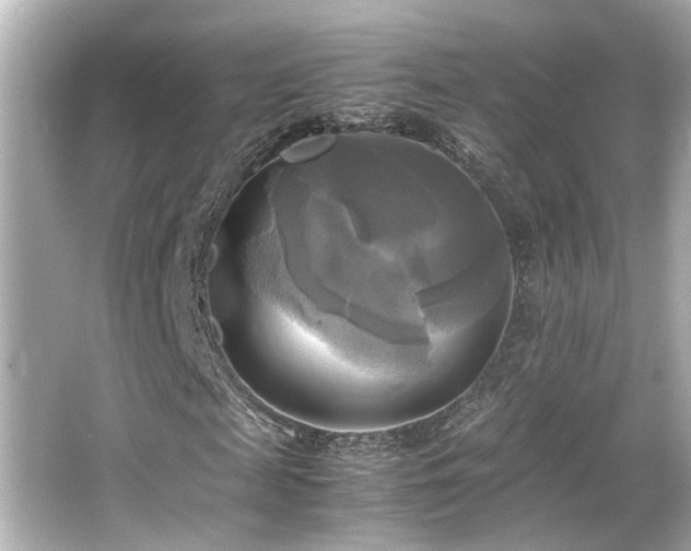 X0000066520817200603171215