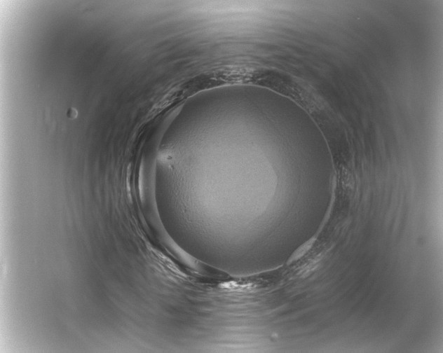 X0000066520818200603171215