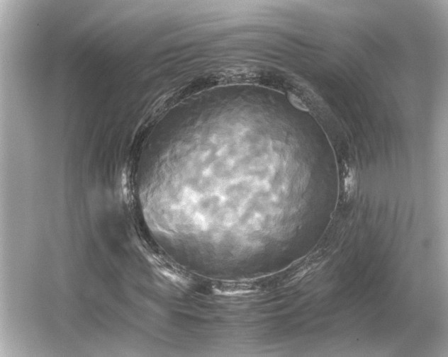 X0000066520819200603171216