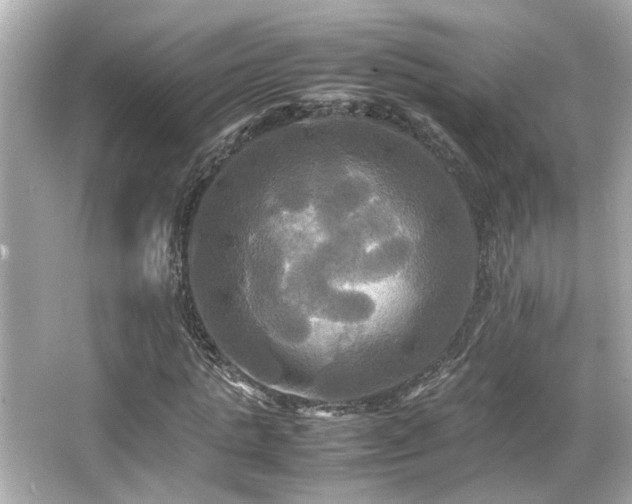 X0000066520821200603171216