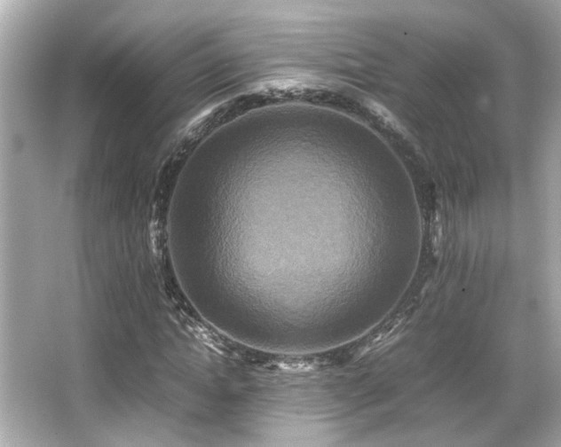 X0000066520822200603171216