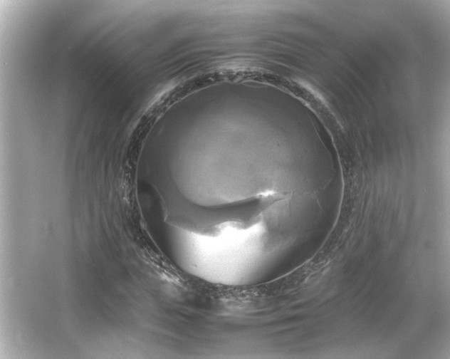 X0000066520823200603171216