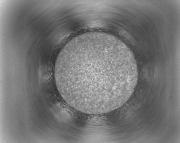 X0000066520824200603171216