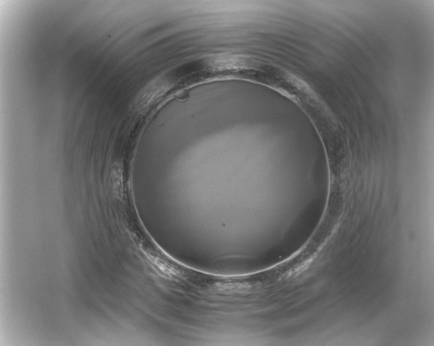 X0000066520825200603171216