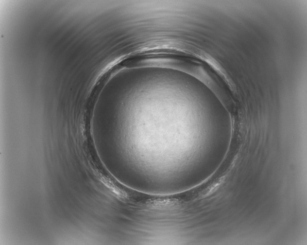 X0000066520826200603171216