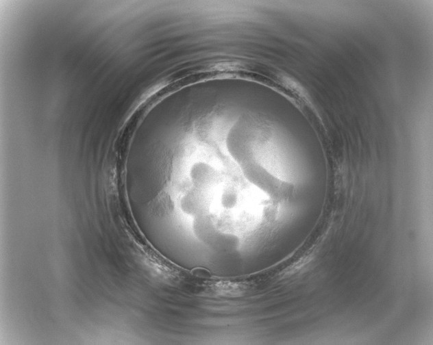 X0000066520827200603171216