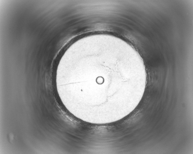 X0000066520828200603171216