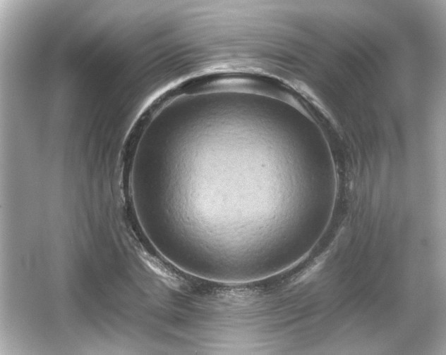 X0000066520830200603171216