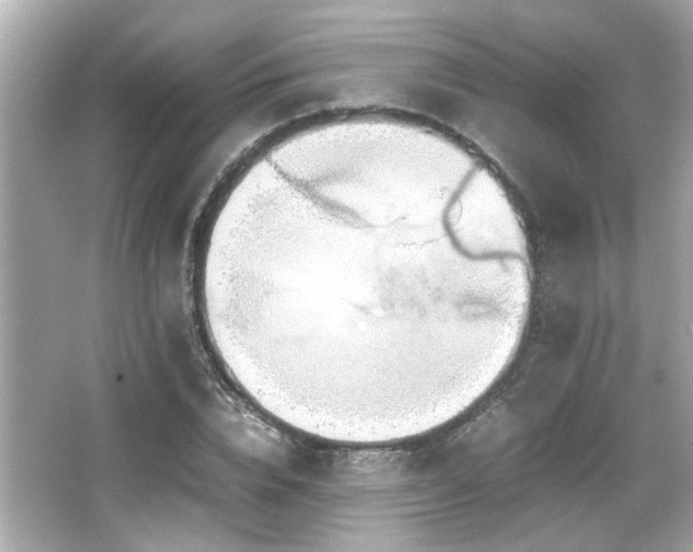 X0000066520832200603171216