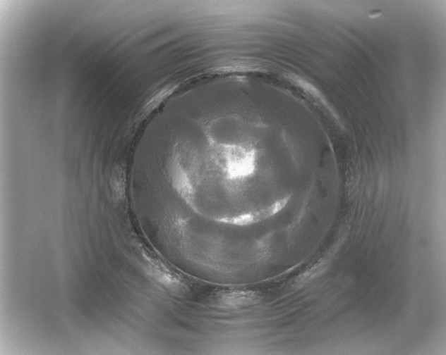 X0000066520833200603171216