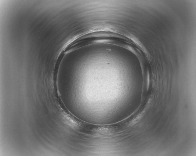 X0000066520834200603171216