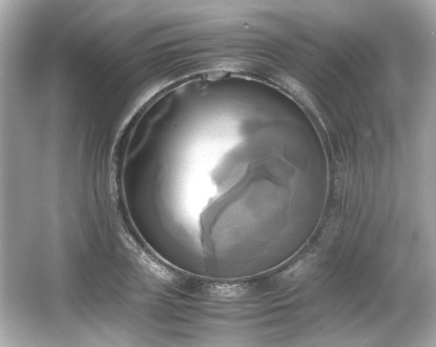 X0000066520835200603171216