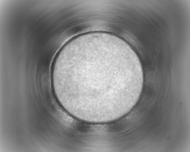 X0000066520836200603171216