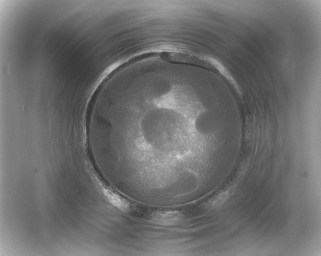 X0000066520837200603171216