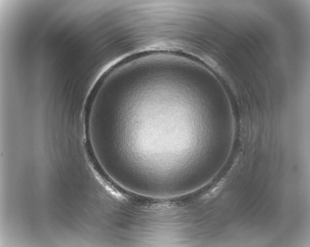 X0000066520838200603171216