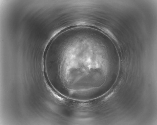 X0000066520839200603171216