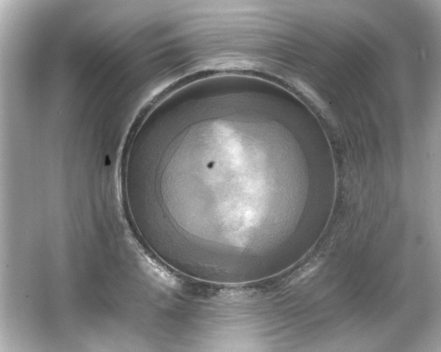 X0000066520840200603171216