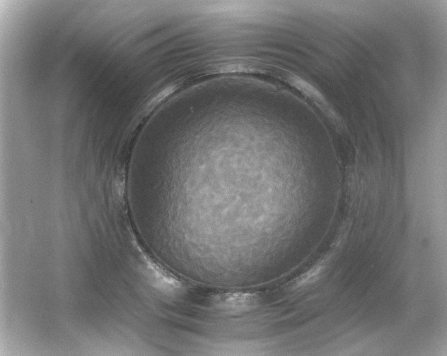 X0000066520841200603171216